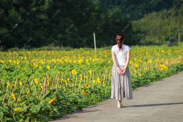 武汉品茗胜地，高端茶馆TOP精选